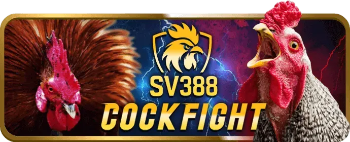 Tiền thưởng chào mừng cho người chơi slot mới